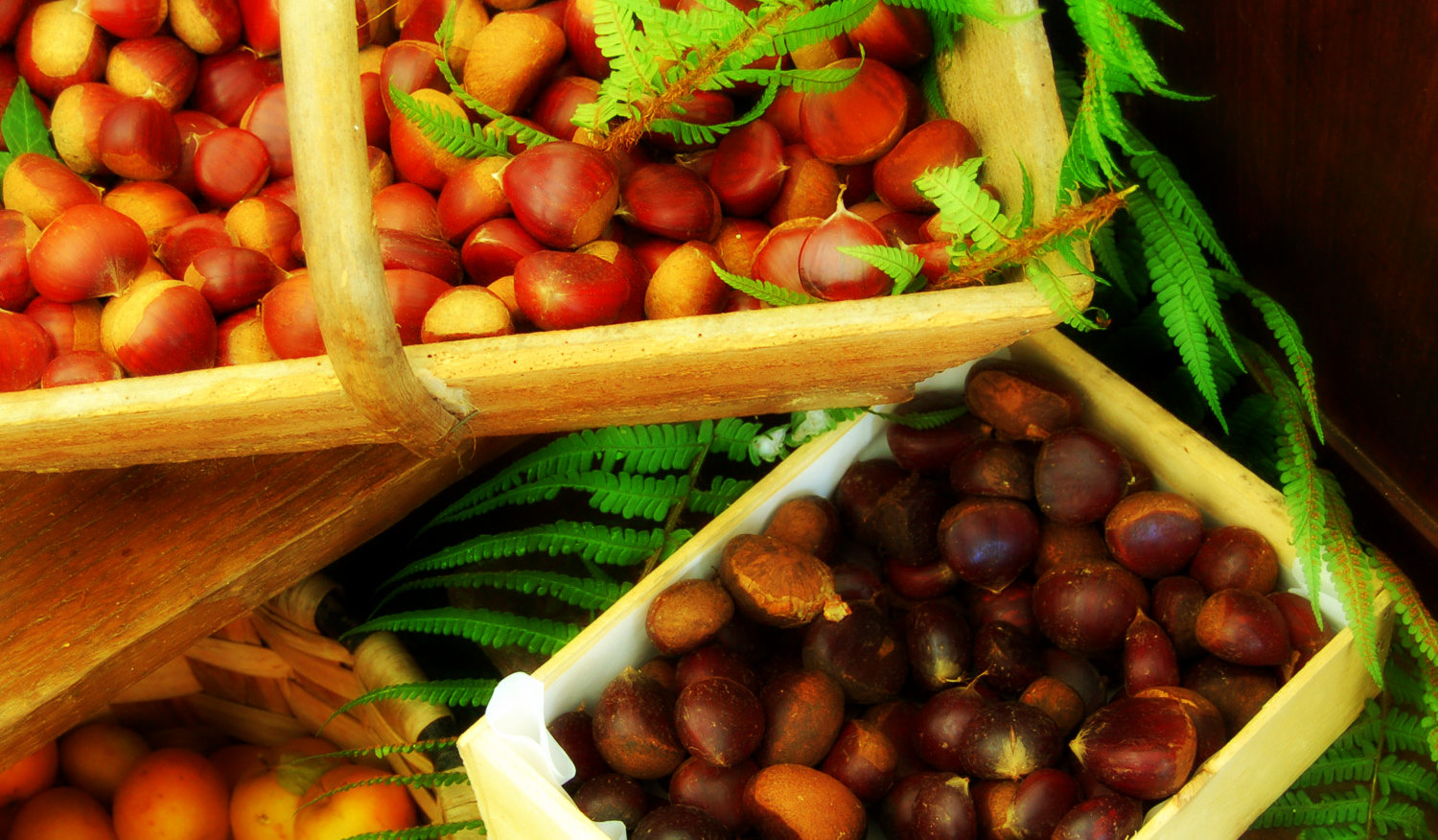 Les 10 raisons de ne pas craindre la rentrée de septembre quand tu vis en Côte basque.