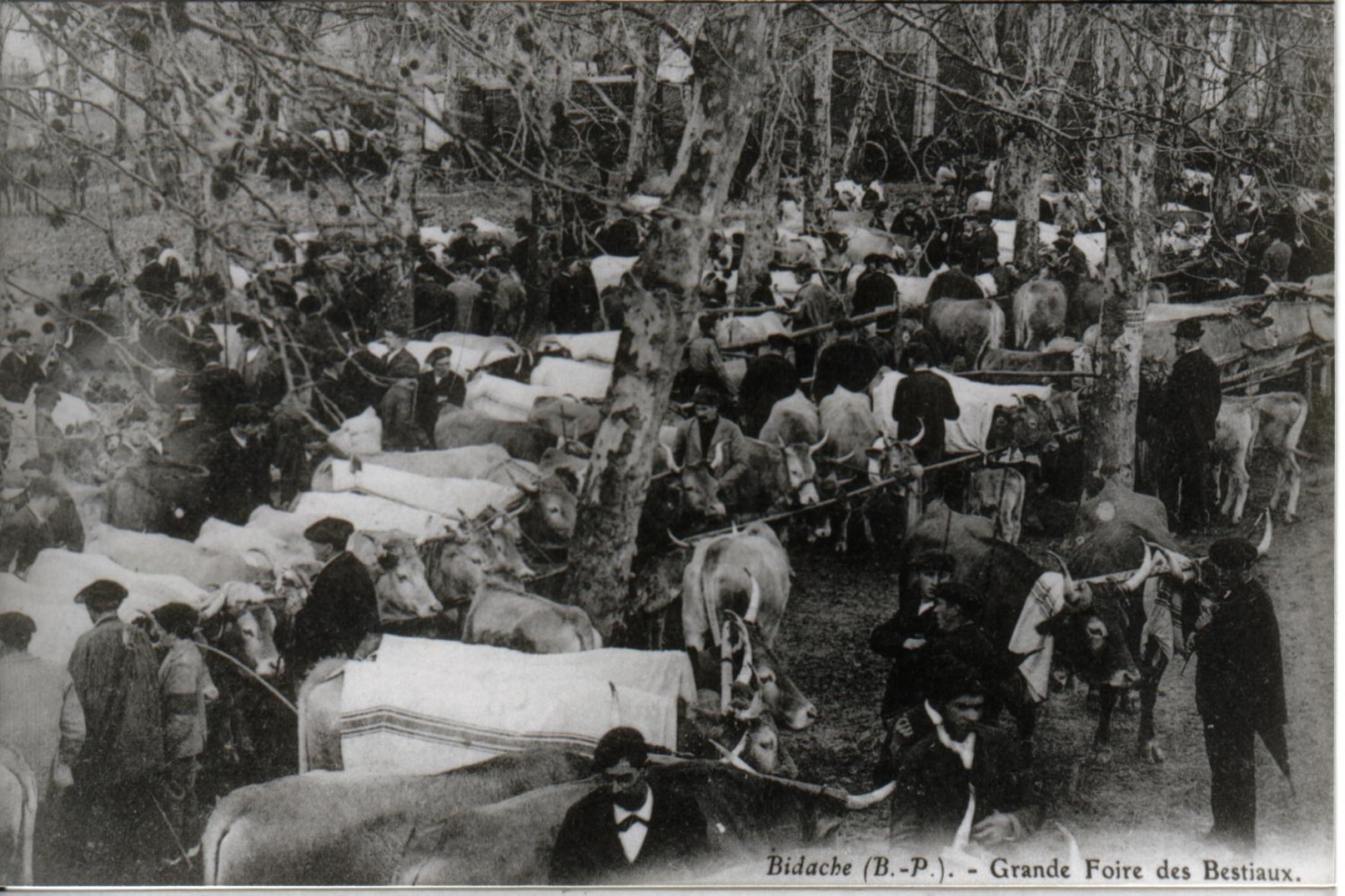 30 photos exceptionnelles du pays basque d&rsquo;antan qui méritent sérieusement le détour