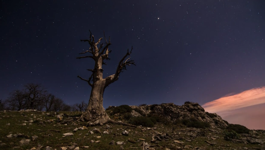 La Navarre est peut-être la plus belle région du Pays basque et cette video timelapse va vous le prouver