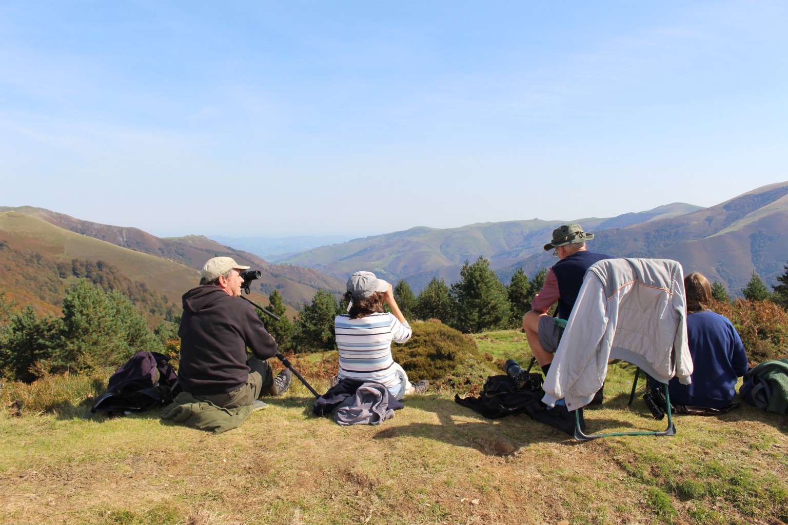 Les hirondelles de cheminée survolent les Pyrénées navarraises, françaises et aragonaises