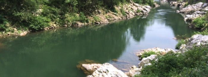 Le saumon des Nives dans Le Mag du Pays basque