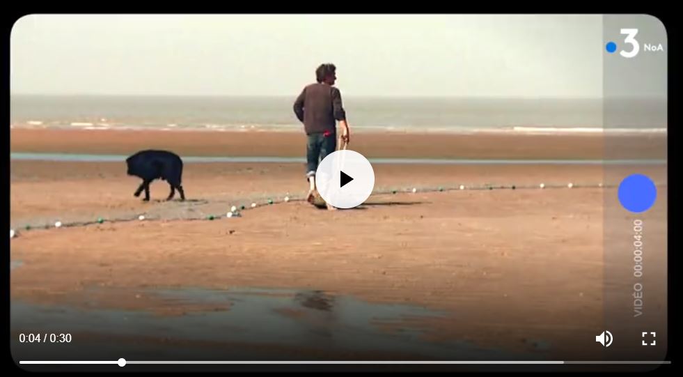 NoA, la nouvelle chaîne 100% régionale à partir du 11 septembre