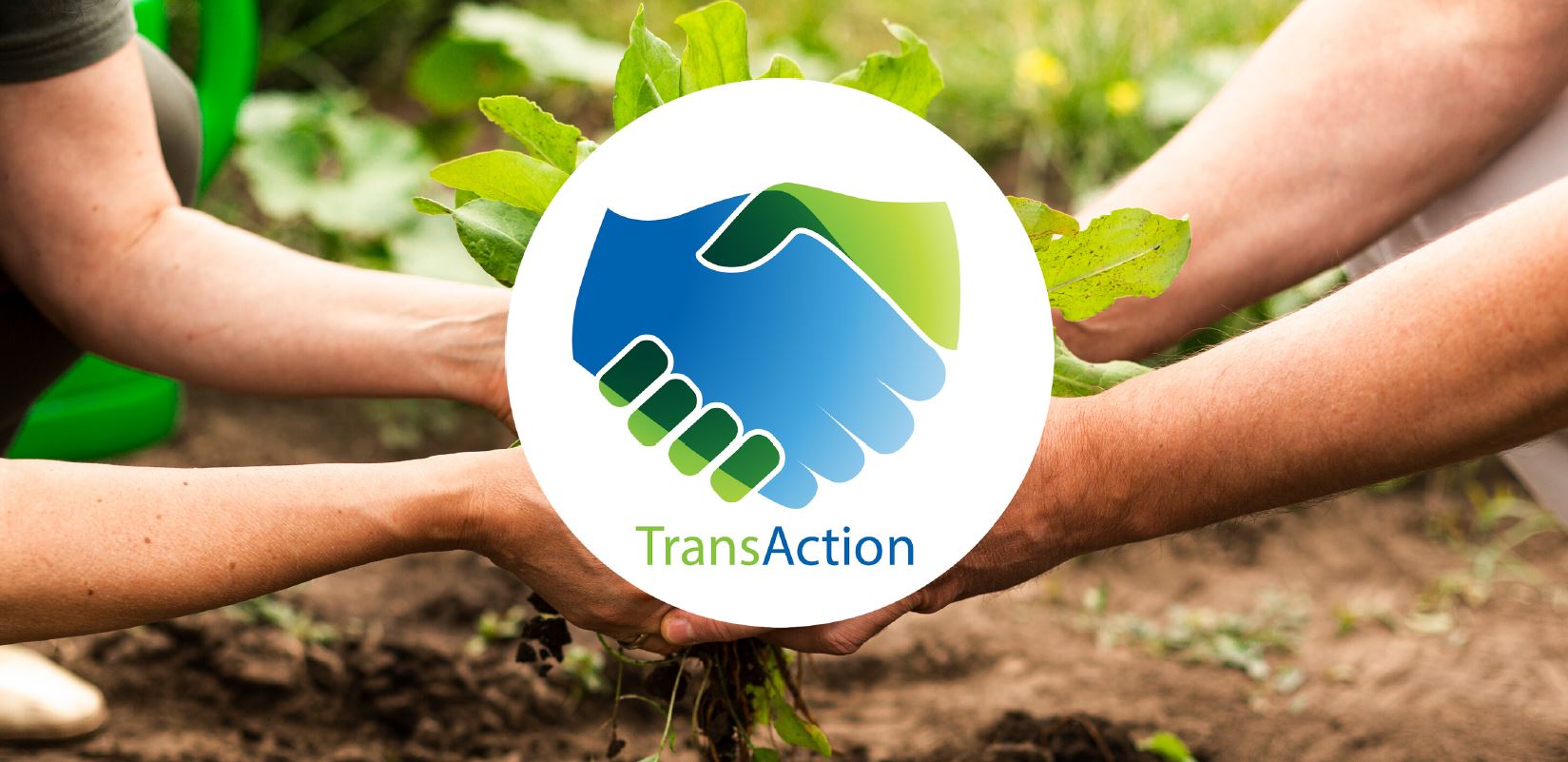 Pays basque : connecter les producteurs aux consommateurs en circuits courts