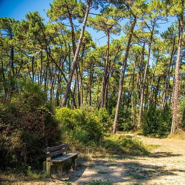 Ajudam Pignada : appel aux dons