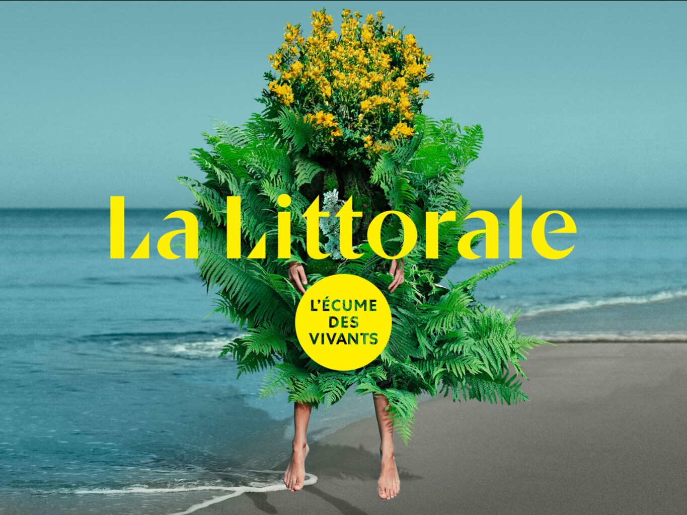 L&rsquo;art au cœur de la ville d&rsquo;Anglet 🖼️