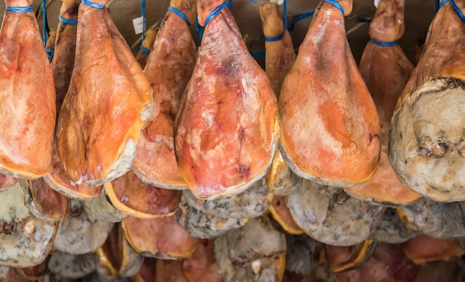 FOIRE AU JAMBON DE BAYONNE 2023 Lancement des inscriptions au concours du  meilleur jambon fermier