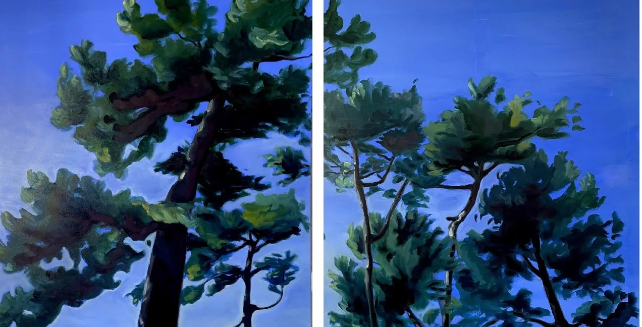 Exposition Stephanie Stindel à Bidart