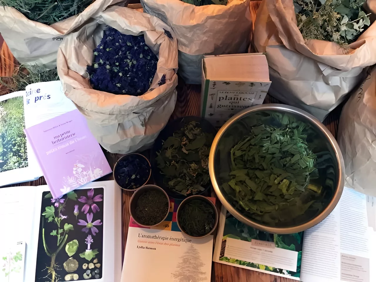 Les Herbes Folles, le festival des producteurs de plantes aromatiques et médicinales du 64 