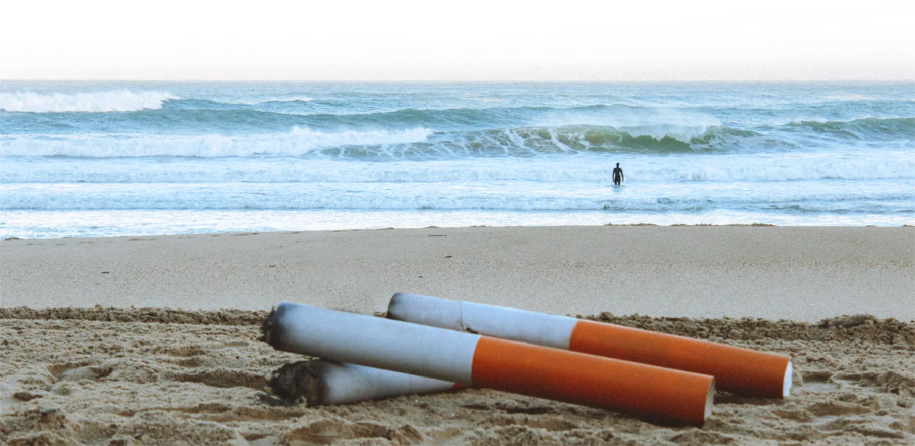 Tree6clope : Pionnier de l&rsquo;action locale pour un futur sans mégot