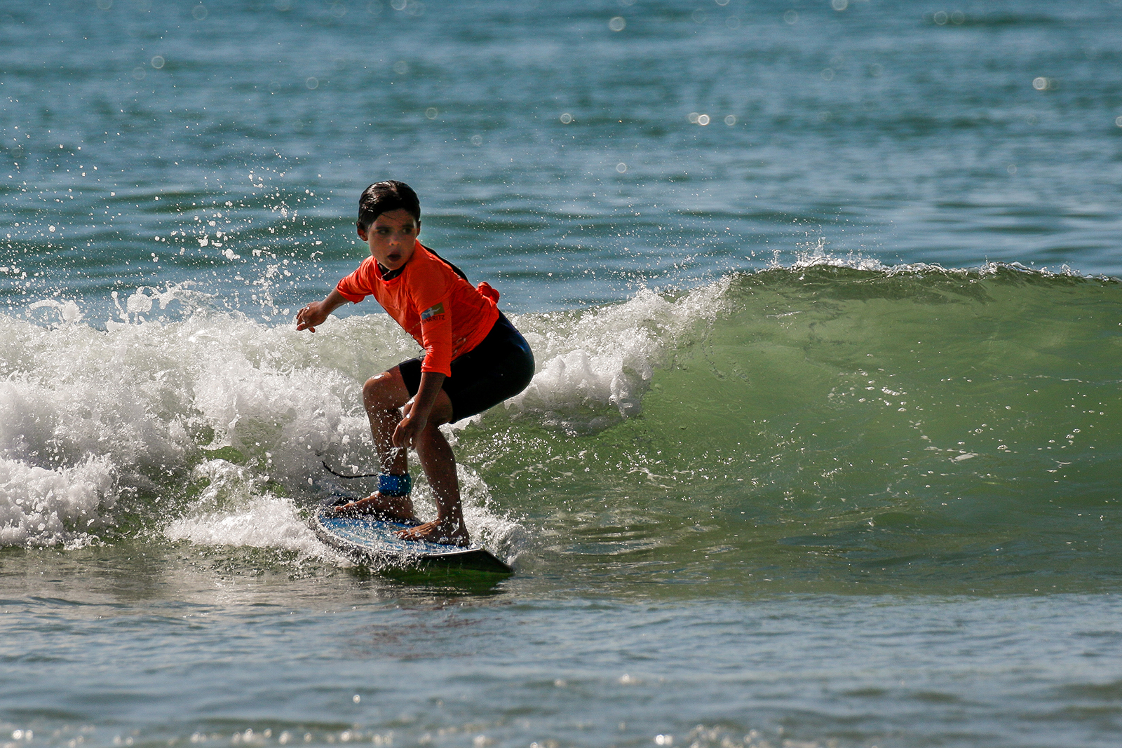 Compétition « Les Têtards » 2024