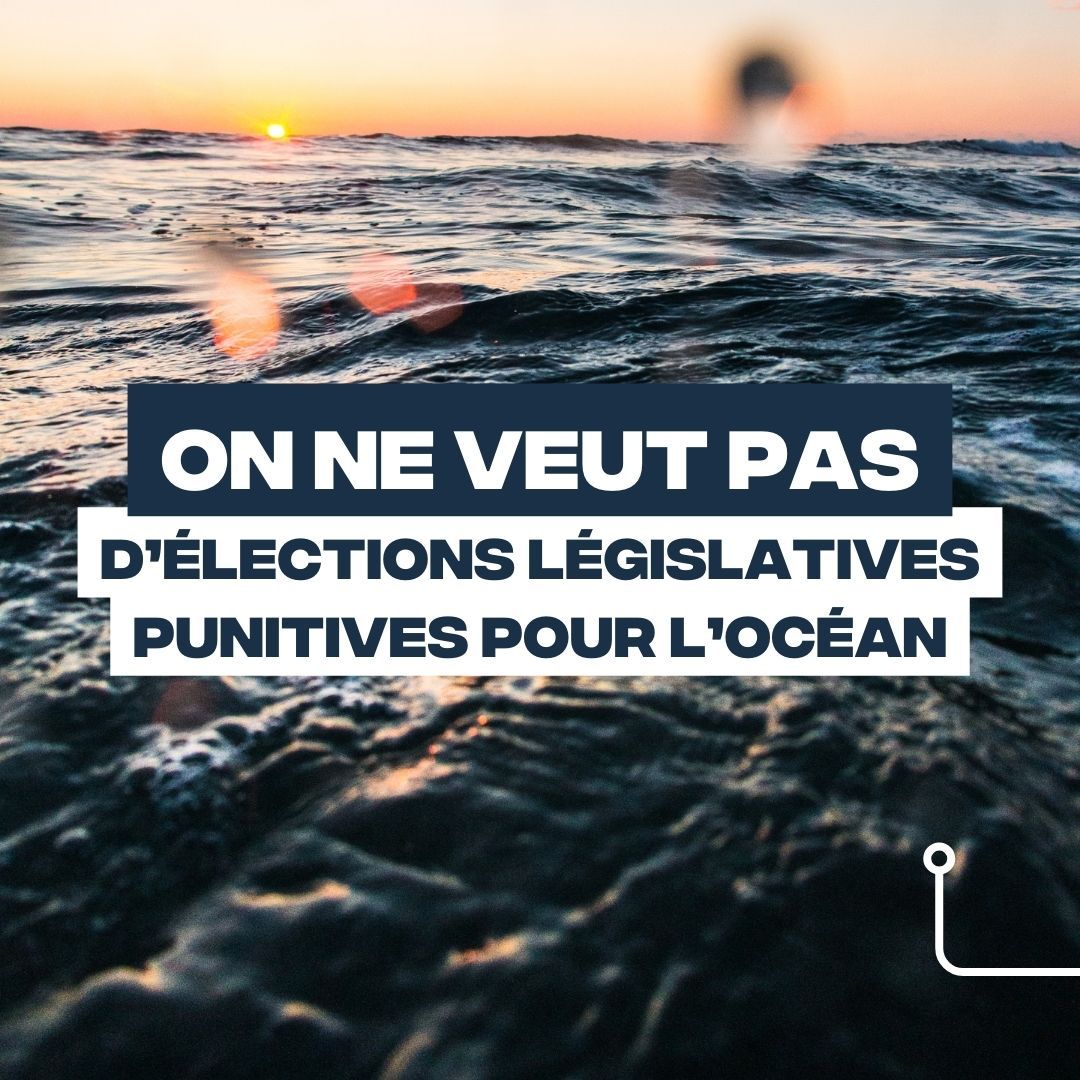 Ce dimanche 30 juin, votez en conscience pour l&rsquo;Océan.