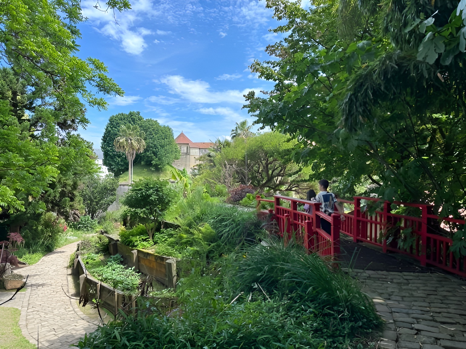 Le Jardin Botanique de Bayonne : Une Renaissance Florale