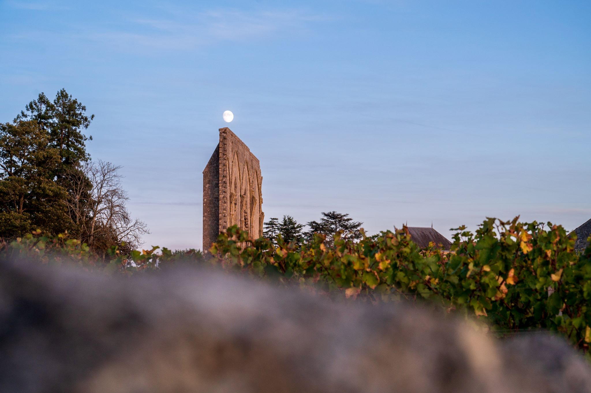 Saint-Émilion, comme vous ne l’avez jamais vu : un film entre émotion et immersion