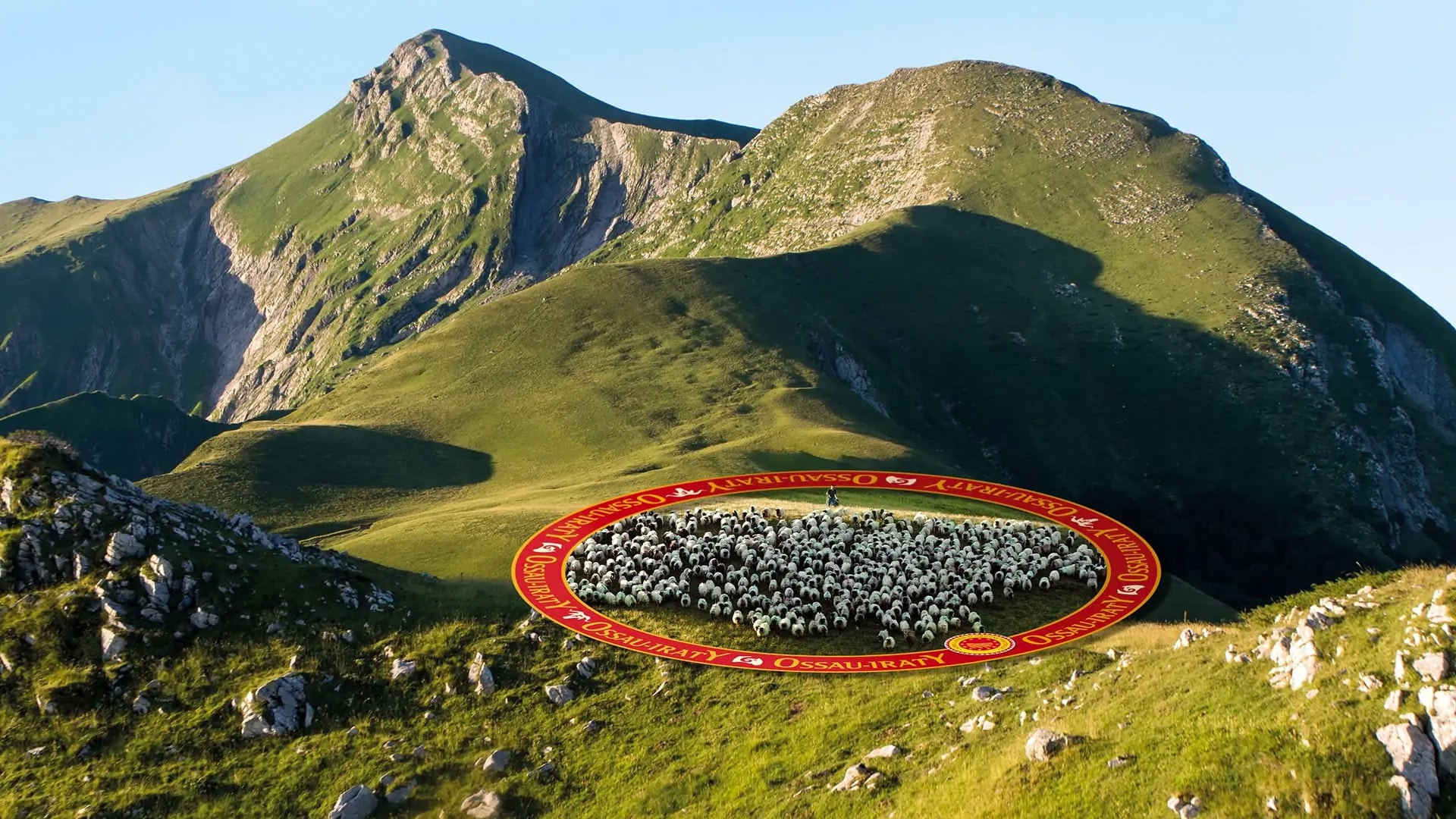 Cet été, cap sur la Route du Fromage Ossau-Iraty : un voyage au cœur du goût et des Pyrénées