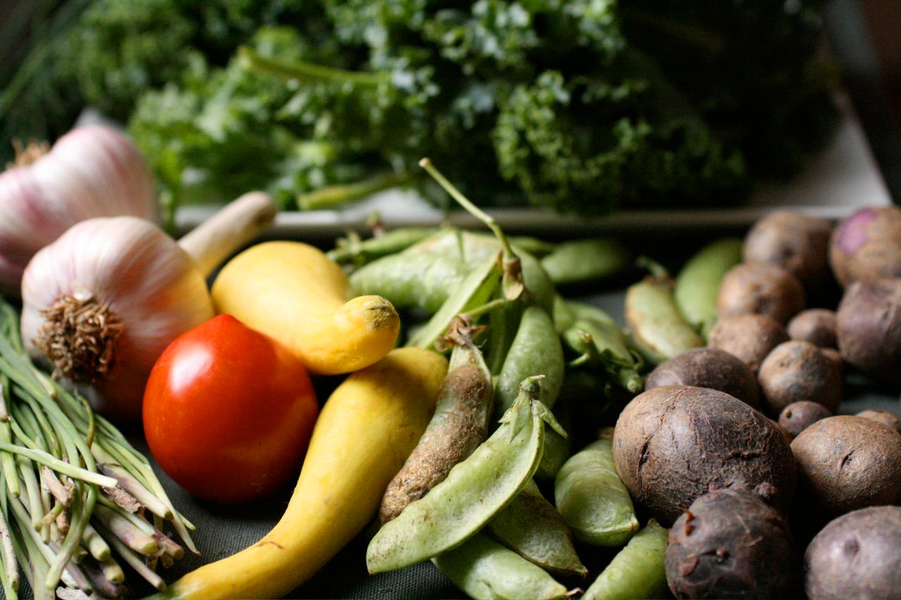 Otsokop : supermarché collaboratif bio et local au Pays basque