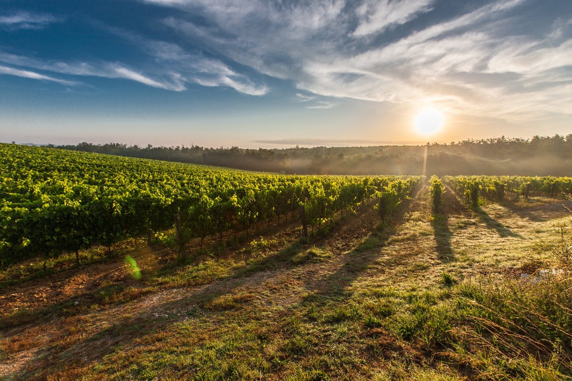 La région Sud-Ouest consacrée « Région Viticole de l&rsquo;année 2017 » par la revue Wine Enthusiast