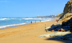 cote basque