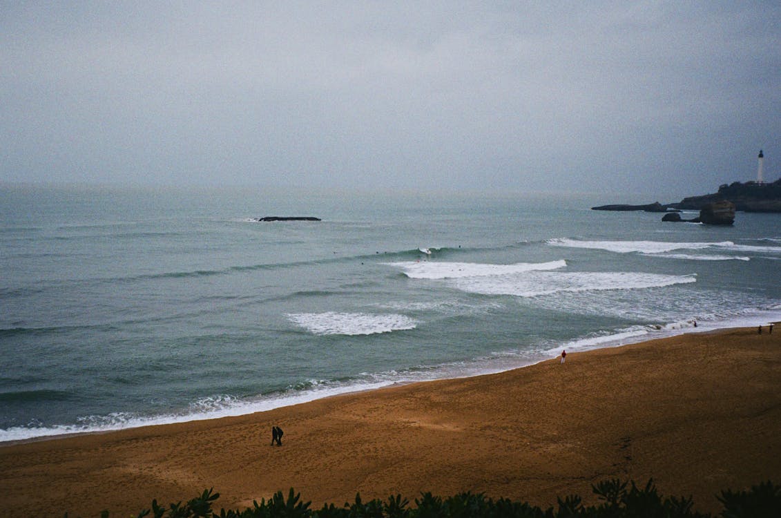 Prendre un cours de surf en hiver à Biarritz : une expérience unique