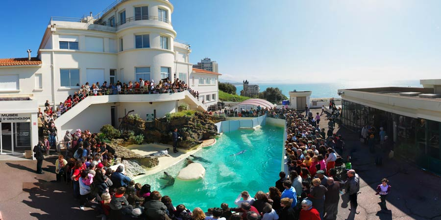 Que faire au Pays Basque quand il pleut ? 15 activités indoor incontournables