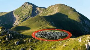 ossau iraty