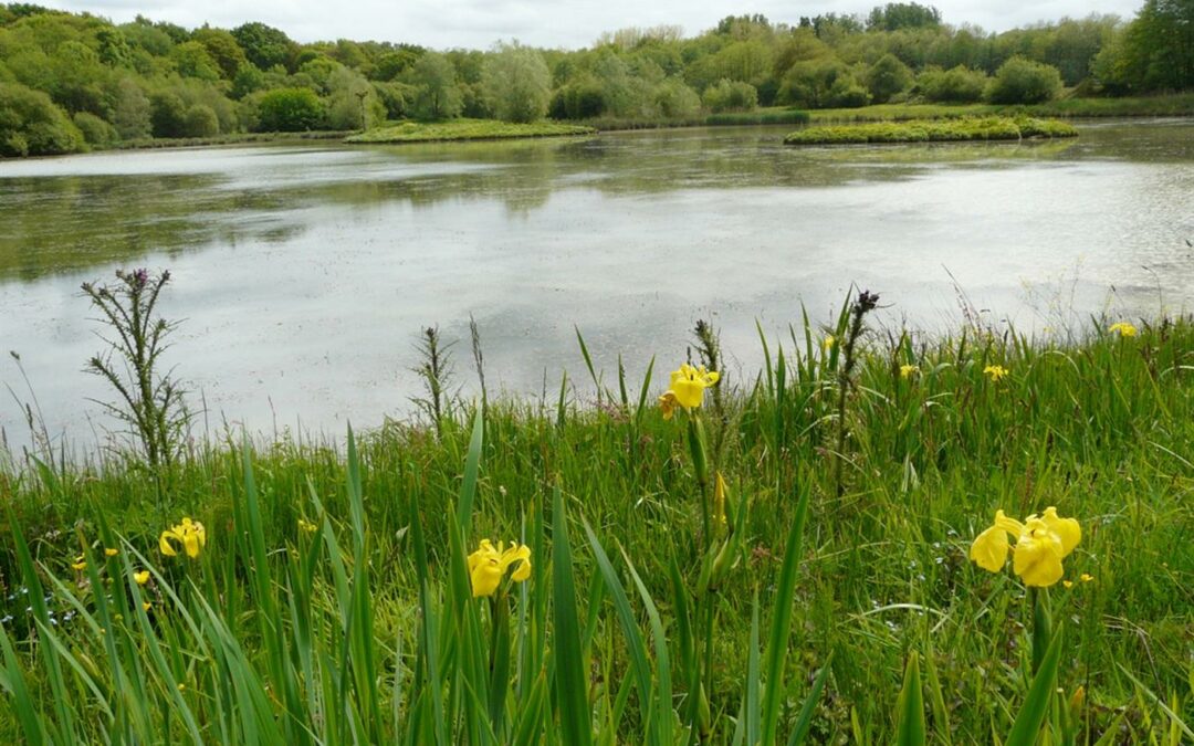 À Arcangues, un coup de pouce de 20 000 € pour préserver un trésor naturel du Pays basque