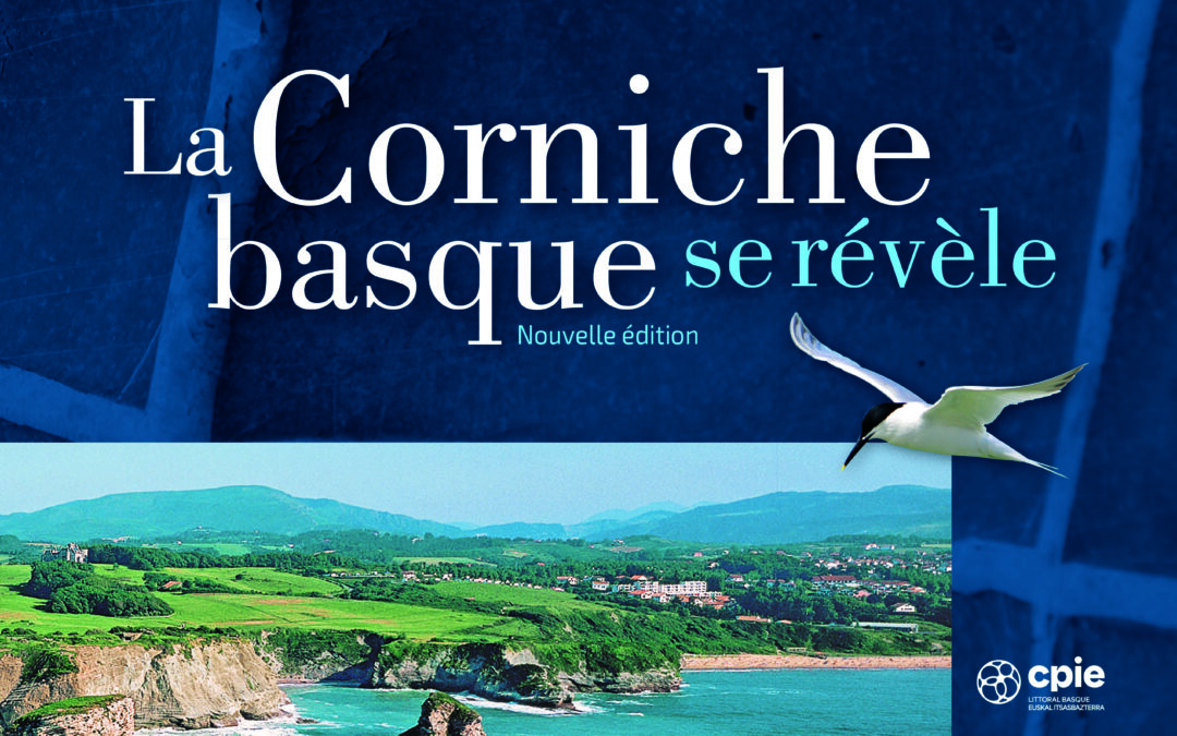 La Corniche basque racontée autrement dans un ouvrage de référence réédité
