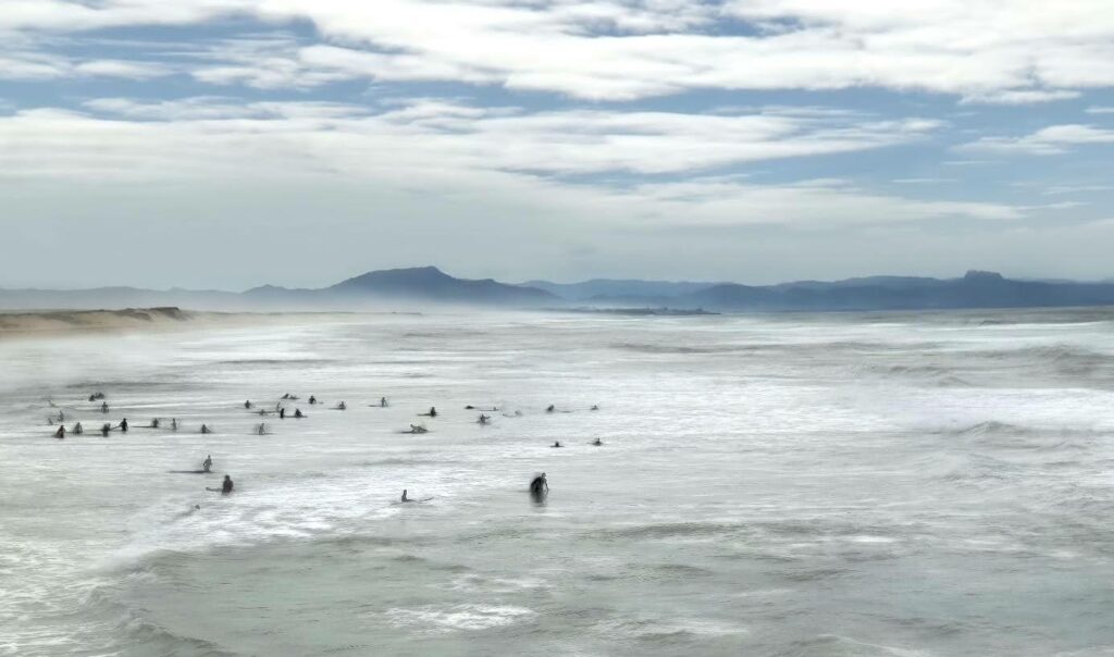 Saint-Jean-de-Luz : le photographe Fabrice Michaudeau expose