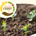Ekopi’Fest, les 2 et 3 octobre 2026,
